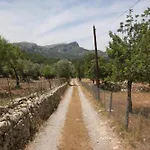 Guillo * Pollenca