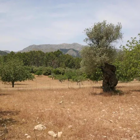 Guillo Villa